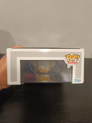 Funko Pop cover Brook 2220