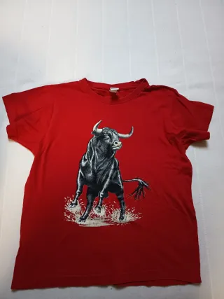 Lote Ropa Verano Niños 7-8 Años