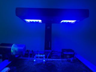 Pantalla LED Acuario Marino JECOD/JEBAO AL-150w