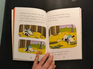 Lote libros primeros lectores