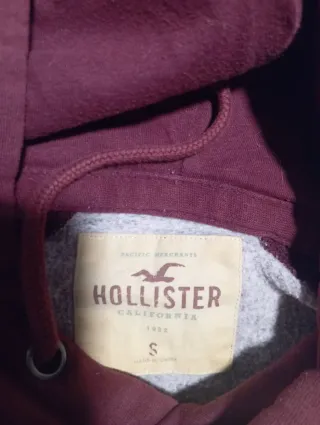 Sudadera Hollister