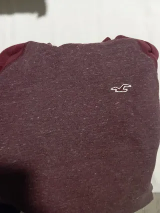 Sudadera Hollister