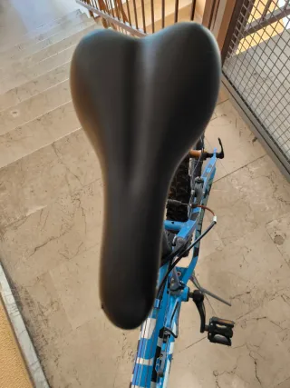 Mountain Bike Dirty Eagle 24"