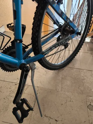 Mountain Bike Dirty Eagle 24"