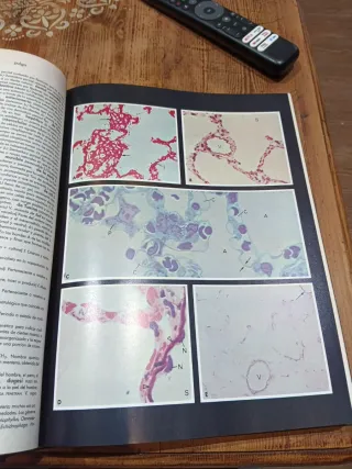 Diccionario de medicina Dorland ilustrado