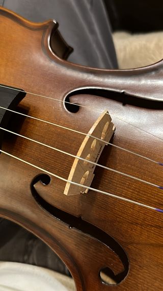 Violín Stentor Graduate 4/4 con funda y arco