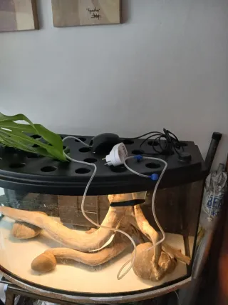 Acuario completo y moderno 120L