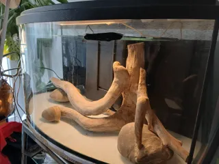 Acuario completo y moderno 120L