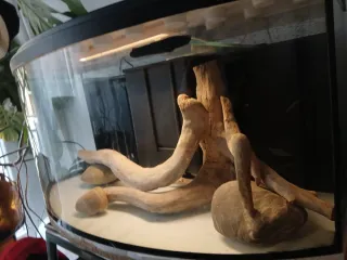 Acuario completo y moderno 120L