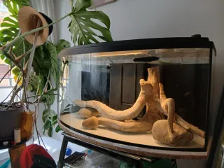 Acuario completo y moderno 120L