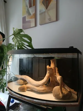 Acuario completo y moderno 120L