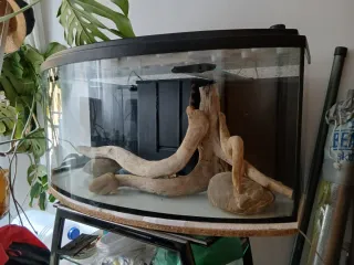 Acuario completo y moderno 120L