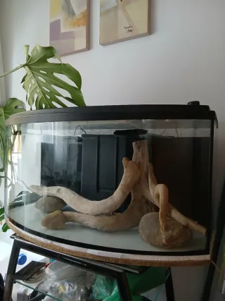 Acuario completo y moderno 120L