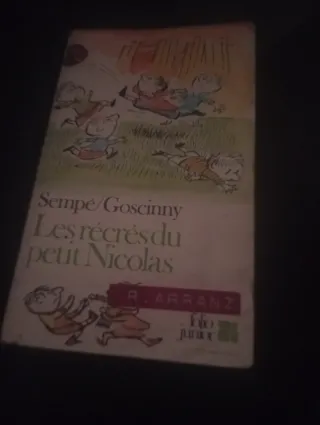 Libro el pequeño Nicolás en frances