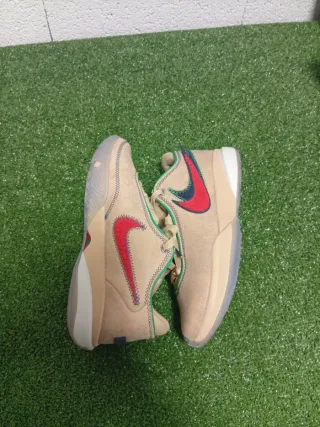 Nike LeBron 20 Four Horsemen