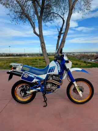 Suzuki DR 600 Djebel