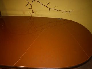 Tavolo pranzo radica antico gusto Decò