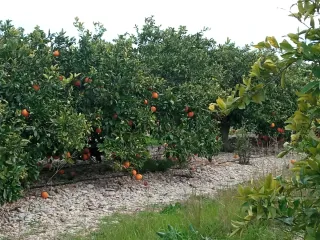 Terreno para módulo Vinaròs