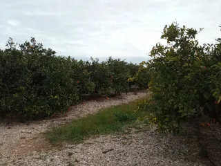 Terreno para módulo Vinaròs
