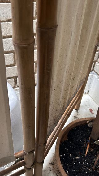Biombo de bambú para terraza o interior