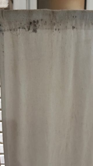 Biombo de bambú para terraza o interior