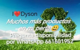 Aspiradora Dyson V11