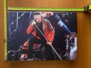 Quadro di Vasco Rossi