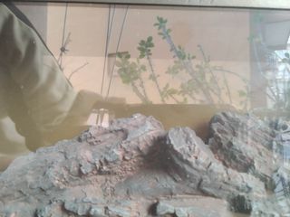 Pequeña estufa eléctrica con efecto LEÑA ARDIENDO