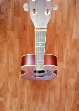 Guitarra Acústica Harley Benton Mejorada