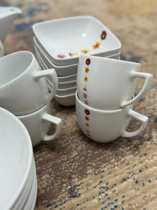 Juego Vajilla Scherzer 1880 Flores