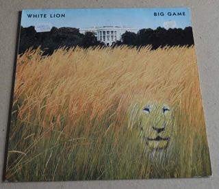 LOTE DE DISCSO DE VINILO