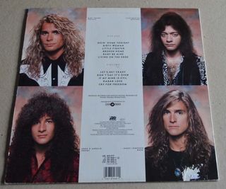 LOTE DE DISCSO DE VINILO