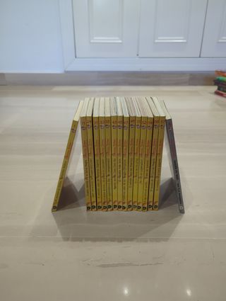 Lote 16 Libros Geronimo Stilton (Sueltos o Pack)