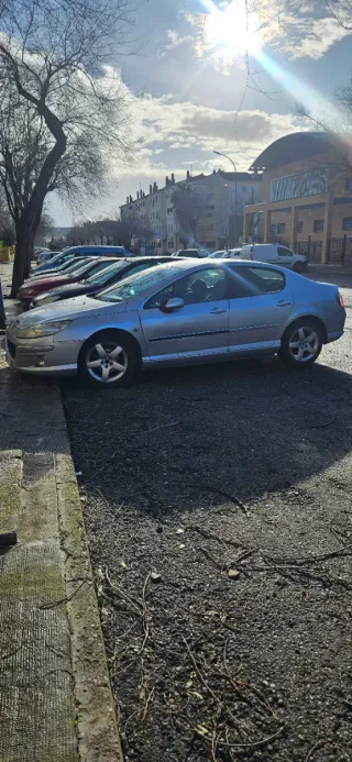 Peugeot 407 2006 itv pasada en septiembre