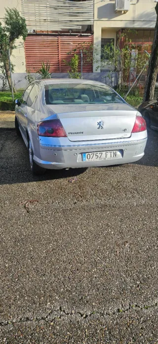 Peugeot 407 2006 itv pasada en septiembre