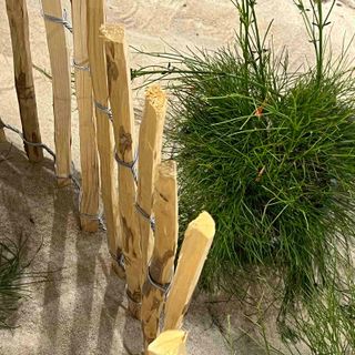 Empalizada Avellano Jardín 1.2x5m