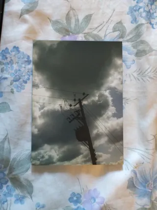 DVD Doves Where We're Calling From