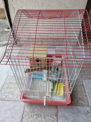 N°2 Gabbie per uccelli complete con accessori