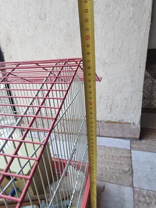 N°2 Gabbie per uccelli complete con accessori