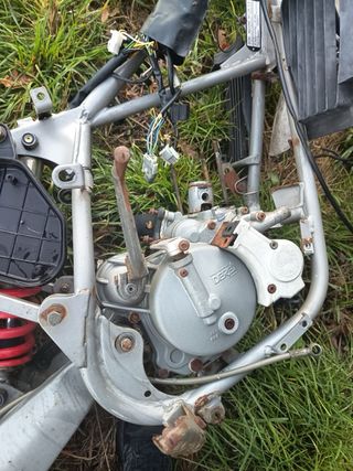 Despiece Derbi Senda R/G 1999