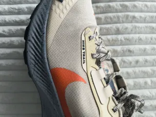 Nike Pegasus Trail 3 Gore-Tex Beige/Naranja
