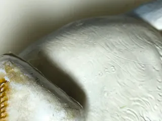 David el Gnomo Zorro Ártico BRB Star Toys PVC