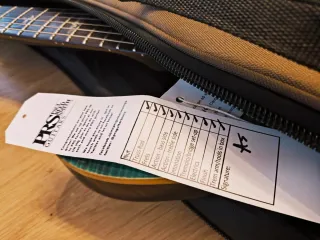 Guitarra Eléctrica PRS SE Pauls Guitar