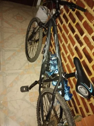 Bicicleta BH Original