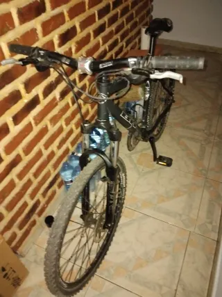 Bicicleta BH Original
