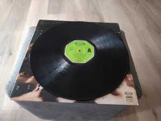 Vinilo LP Neoton