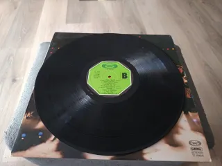 Vinilo LP Neoton