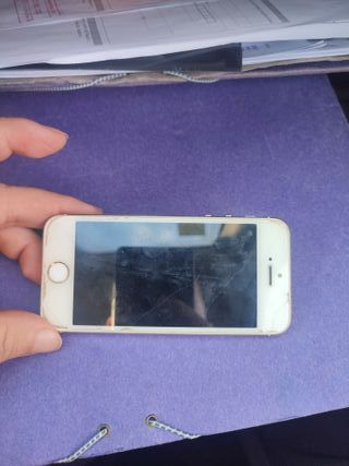 iPhone SE 1ª Gen Dorado