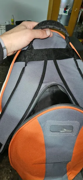 Funda para saxofón alto