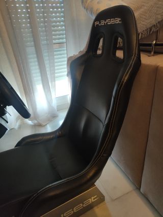 Playseat y Volante T150